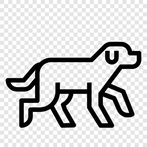 Puppy, Dog Breeds, Dog Training, Dog Health icon svg