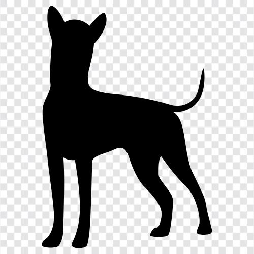 puppy, dog breeds, dog training, dog food icon svg