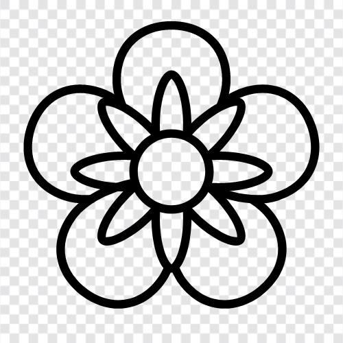 lila, Blumen, Blüten, Laub symbol