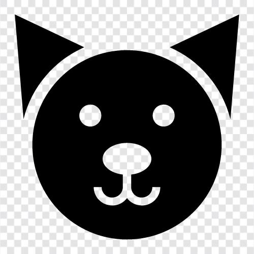 purr, feline, house cat, domestic cat icon svg