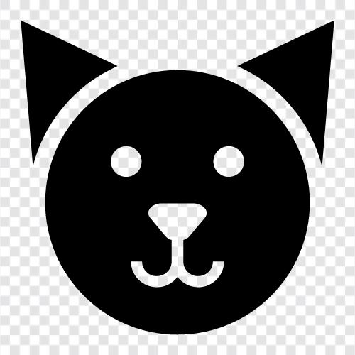 purr, meow, scratch, sleep icon svg