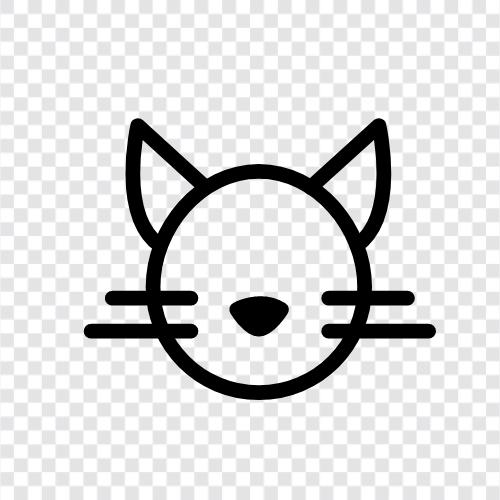 purring, house, kitten, funny icon svg