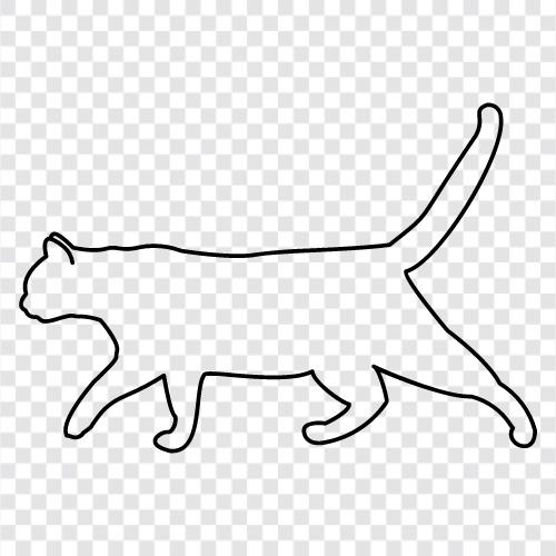 purrr, meow, miaow, meowmiaow icon svg