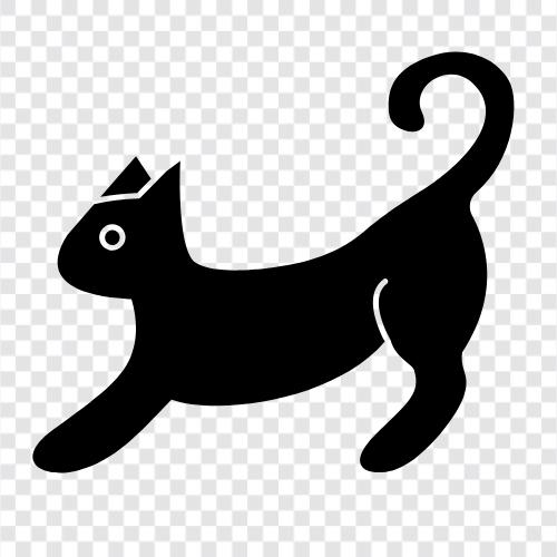 pussy, kitty, house cat, pet icon svg