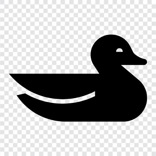 quack, duckling, drake, hunting icon svg