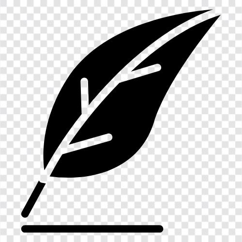 quill pen, dip pen, brush pen, calligraphy pen icon svg