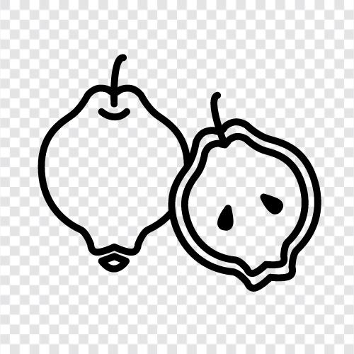 quince fruit, quince jelly, quince paste, quince jam icon svg