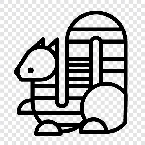 rabbit, pet, animal, small icon svg