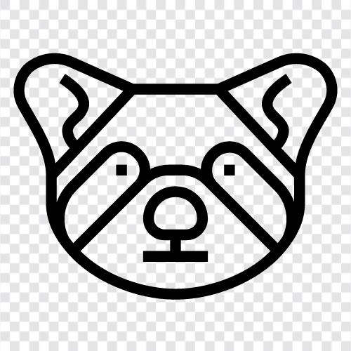 raccoon, mammal, coat, fur icon svg