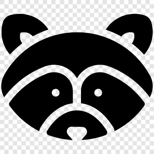 raccoon, animal, behavior, ecology icon svg