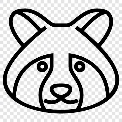 raccoon, wild animal, animal, animal behavior icon svg