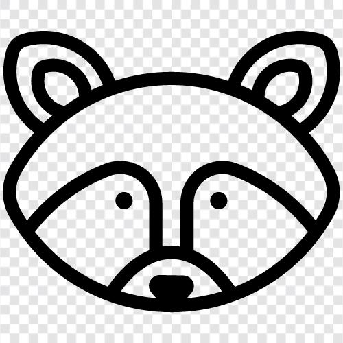 racoon icon svg