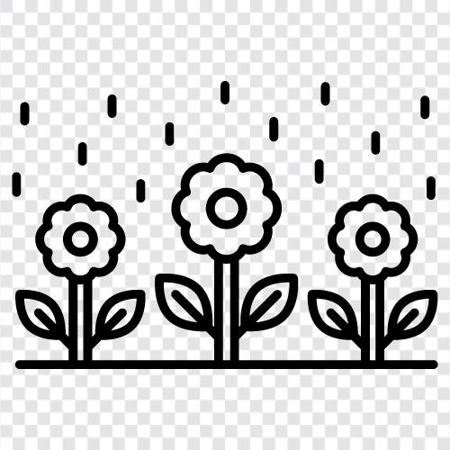 rain in the forecast, thunderstorm, lightning, raindrop icon svg