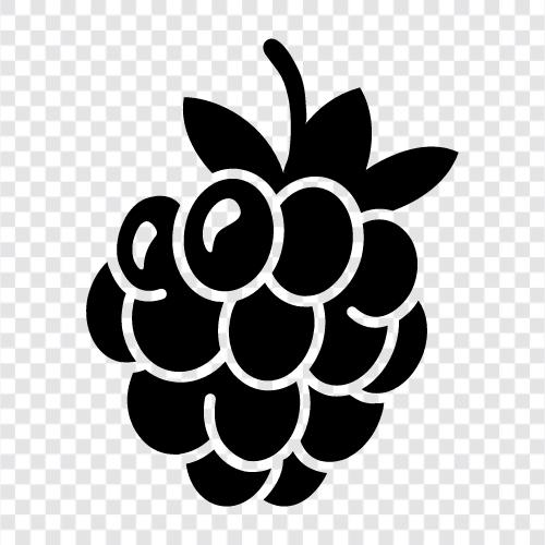 raspberry pi, raspberry sauce, raspberry jam, raspberry cordial icon svg