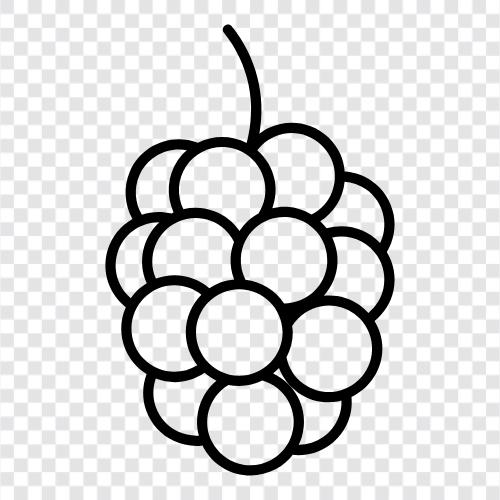 raspberry pi, raspberry cream pie, raspberry jam, raspberry tart icon svg