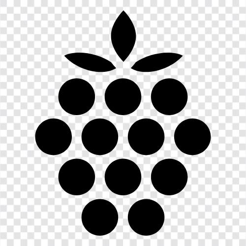 ahududu pi, raspberry pi 2, raspberry pi 3, raspberry pi sıfır ikon svg