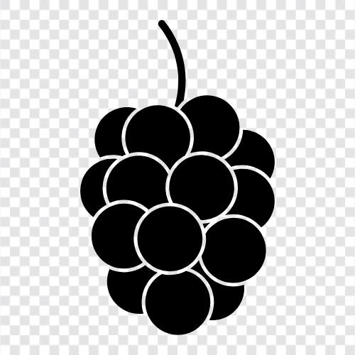 raspberry pi, raspberry ketone, raspberry extract, raspberry jam icon svg