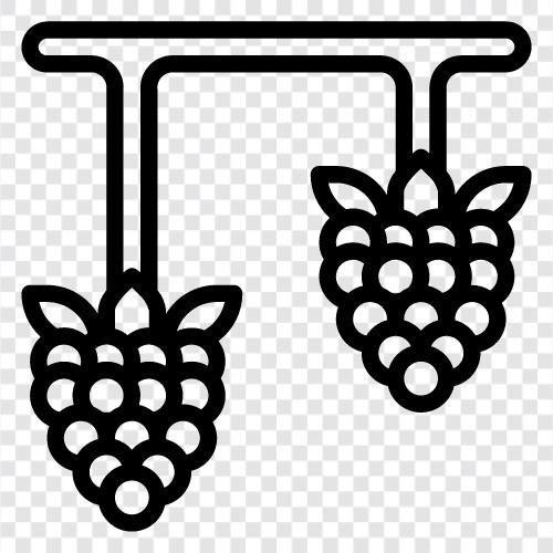 raspberry pi, raspberry ketone, raspberry lemonade, raspberry tarts icon svg