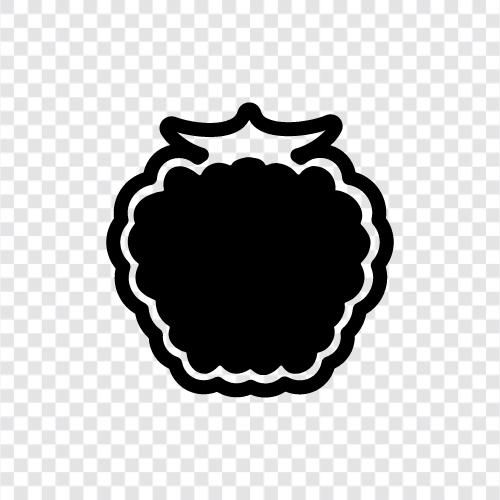 raspberry pi, raspberry tart, raspberry jam, raspberry flavoring icon svg