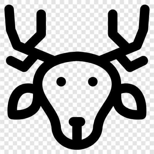 reindeer herding, reindeer farming, reindeer husband, reindeer icon svg