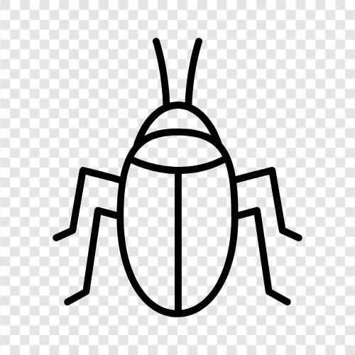 Roach, Insect, Bug, Ant icon svg