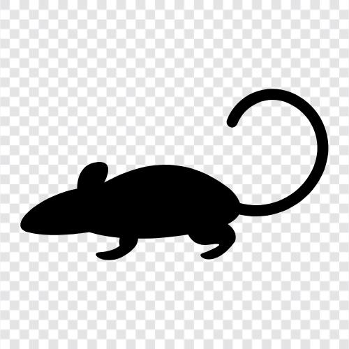 rodent, gnawing, biting, teeth icon svg