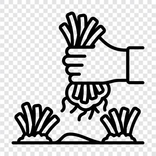rooting, rooting out weeds, rooting out pests, rooting out fungi icon svg
