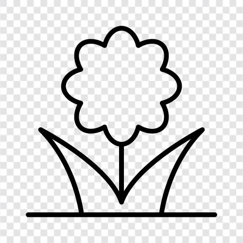 rose, garden, botanical, zinnias icon svg