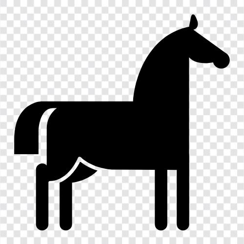 saddle, horseshoe, horse racing, horse care icon svg