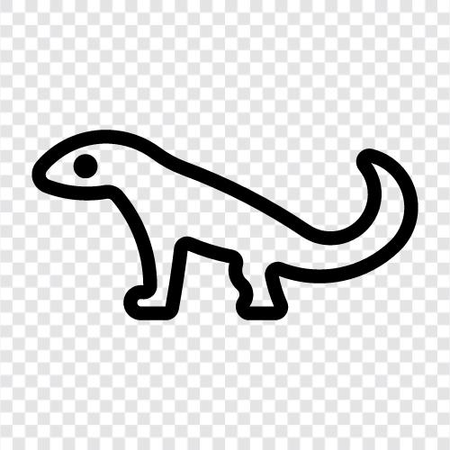 salamander, amphibian, newt salamander, newt icon svg