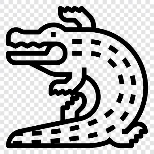 Salt, Reptile, Animal, Crocodile icon svg