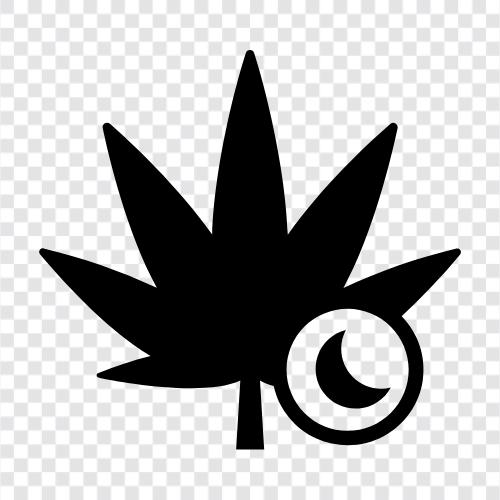 sativa suşu, indica dominant, sativa dominant, indica suşu ikon svg