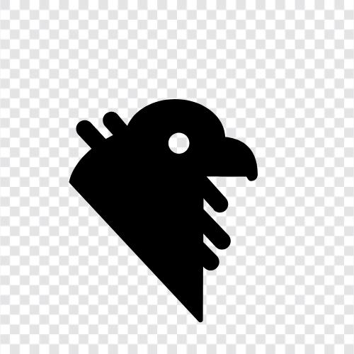 Schnitzel, Schnitzelvogel, Geierverhalten, Geierökologie symbol