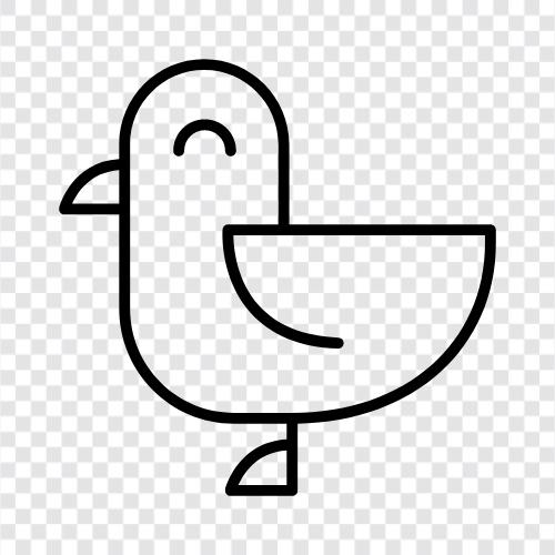 scavenger, gull, burrowing, scavenging icon svg