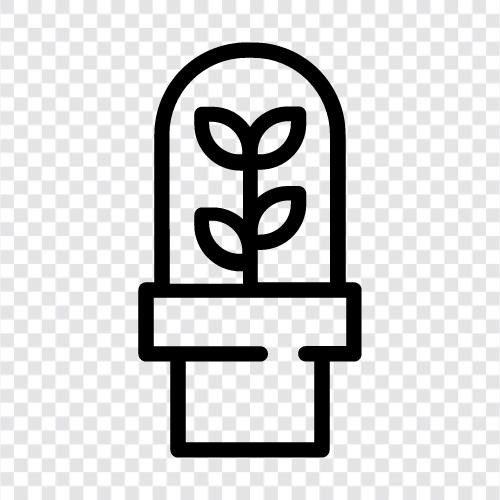 scientific plant, botanical garden, grow lab, grow plants icon svg