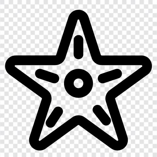 sea star, urchin, coral, marine life icon svg