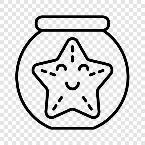 sea stars, urchins, brittle stars, anemones icon svg