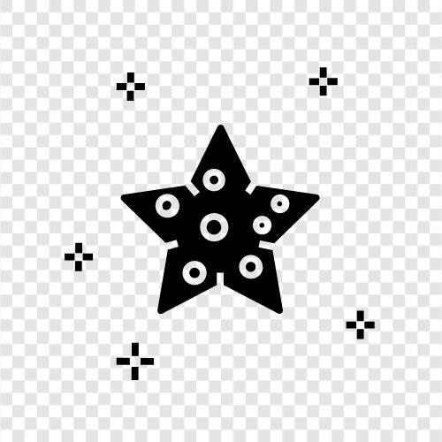 Seesterne, Stachelhäuter, fünfzackiger Stern, Meer symbol