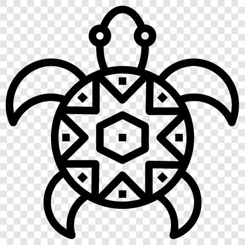 sea turtle, hawksbill turtle, green sea turtle, loggerhead sea icon svg