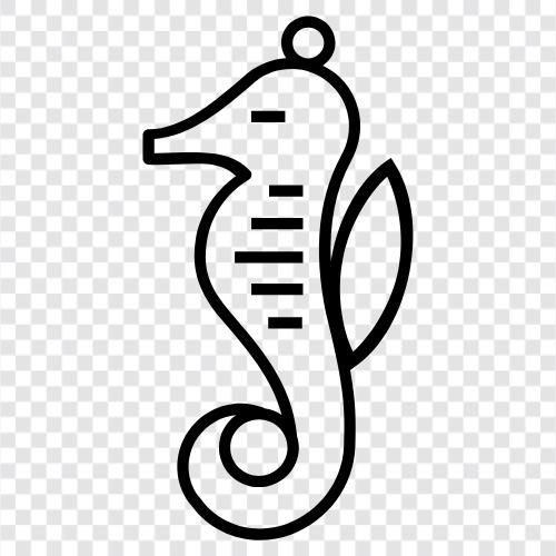 seahorse, cetacean, fish, marine icon svg