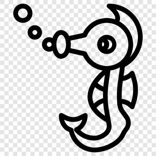 seahorse pictures, seahorse tattoos, seahorse facts, Seahorse icon svg