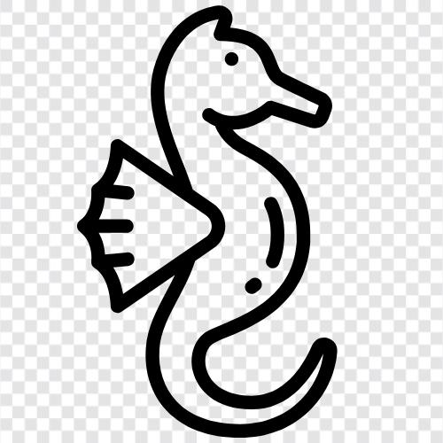 seahorse, fish, aquarium, marine icon svg