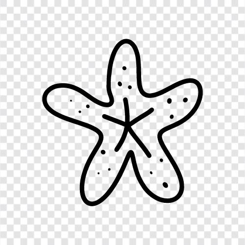 seastar aquarium, seastar fish, seastar tank, seastar icon svg