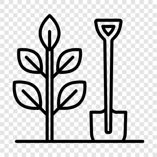 seeds, trees, shrubs, flowers icon svg