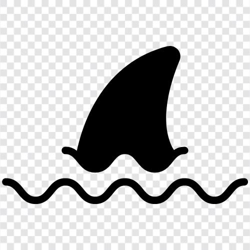 Köpekbalığı Fin Çorbası, Shark Fin Cartilage, Shark Fin Yağı, Shark Fin ikon svg