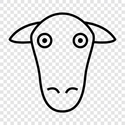 Koyun Başı Duvar Kağıdı, Sheep Head Photo, Sheep, Sheep Head ikon svg