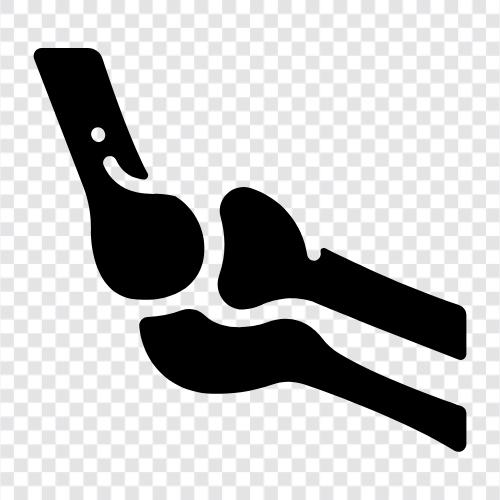 shoulder joint, elbow joint, wrist joint, arm joint bone icon svg