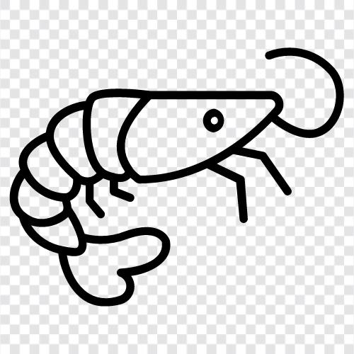 karides balıkçılığı, karides çiftçiliği, shrimp tarifleri, shrimp çiftçilik rehberi ikon svg