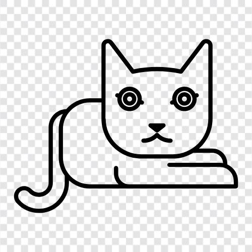 Siamese, House cat, pet cat, feline icon svg