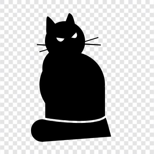 sitting cat pictures, sitting cat icon svg